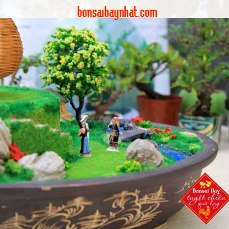 Bon sai bay- Nước non hội tụ 4