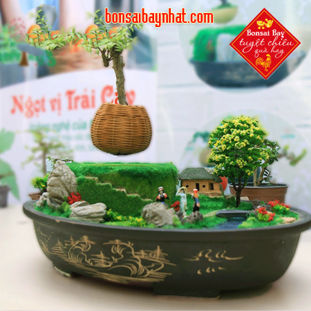 Bon sai bay- Nước non hội tụ 1