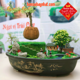 AB01- Bonsai bay- Nước Non Hội Tụ