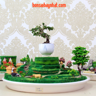 AB13- Bonsai bay- Phong cảnh Sapa